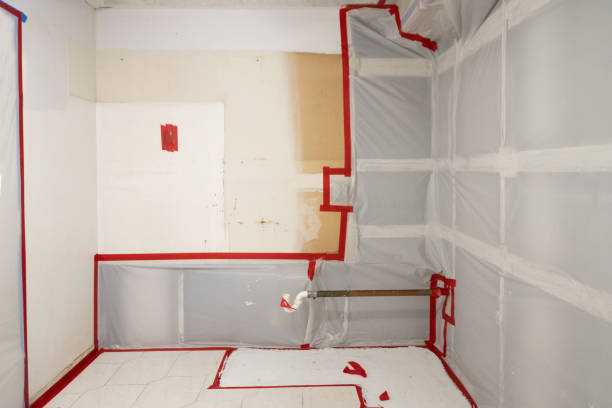 Professional Mold Removal in Williams, AZ