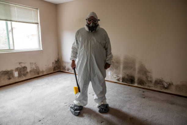 Best Mold Removal for HVAC Installations  in Williams, AZ