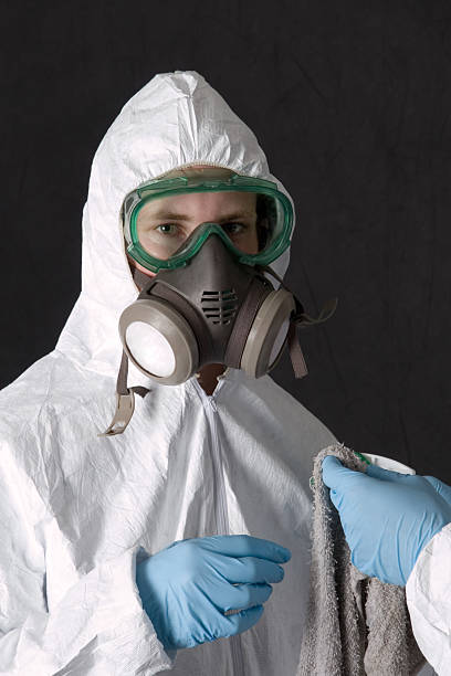 Best Mold Documentation for Insurance Claims  in Williams, AZ